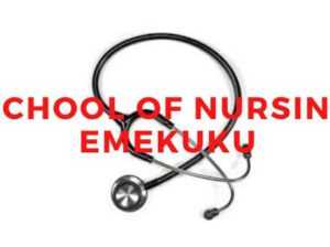 School Of Nursing (S.O.N.), Holy Rosary Hospital, Emekuku 2026/2027 admission form is currently