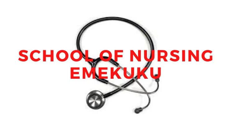 School Of Nursing (S.O.N.), Holy Rosary Hospital, Emekuku 2026/2027 admission form is currently
