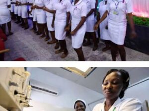 College of Nursing Sciences, Adazi-Nnukwu , Anambra State 2026/27 supplementary(08063557123☎️) form