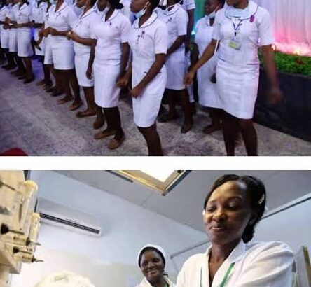 College of Nursing Sciences, NAUTH, Nnewi, Anambra State 2026/27 supplementary(08063557123☎️) form i