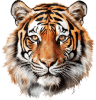 Animal Feed & Supplements