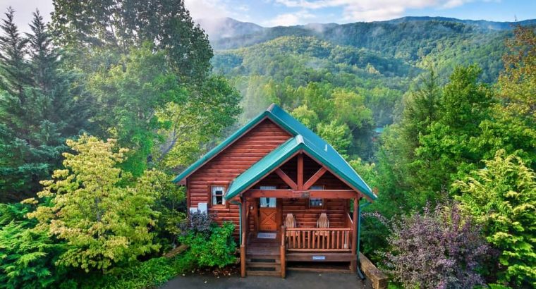 Ducati Monster 821 – Immaculate Condition, Low Miles!