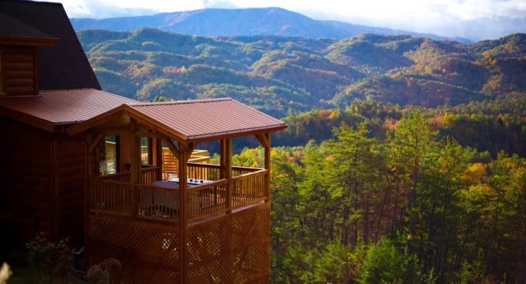 Ducati Monster 821 – Immaculate Condition, Low Miles!